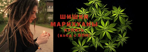 сатива Алзамай